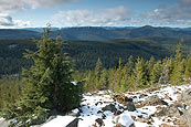 The dense Mount Hood National Forest surrounding Mt. Hood