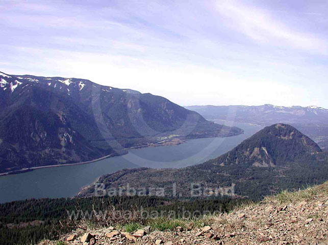 View west along the Columbia River from Dog Mountain, Washington
