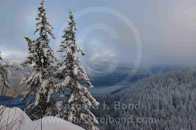 Winter view of the Columbia River from the Devils' Rest Trail