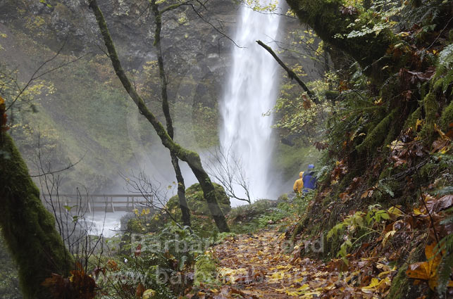 Elowah Falls, Columbia River Gorge