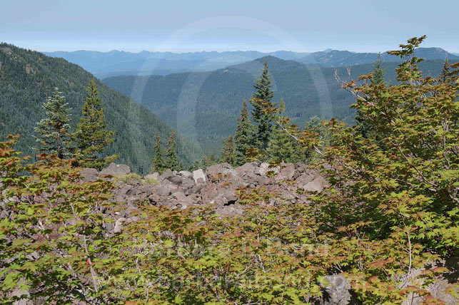Mt. Jefferson Wilderness