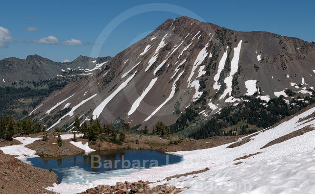 Looking at Red Mountain across a tarn in the Eagle Cap Wilderness