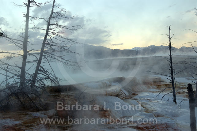 Travertine Terraces at Mammoth Hot Springs