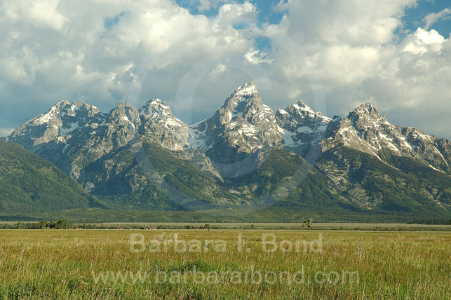 The Tetons