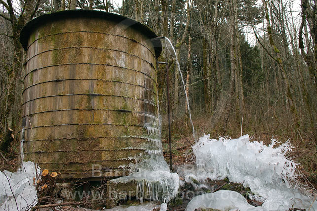Winter in the Columbia River Gorge
