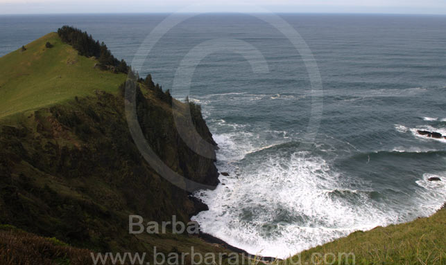 Cascade Head